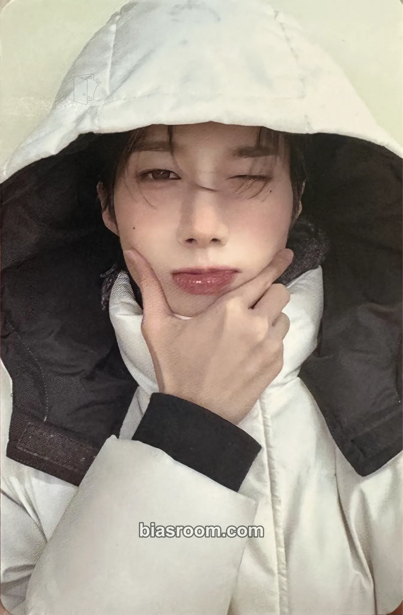 Rui Type of X 1st Fan Meeting Photocard - XLOV - XLOV K-pop photocard