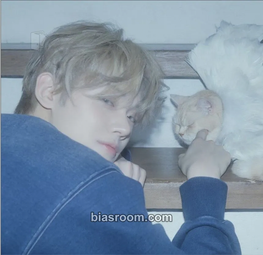 Yeonjun The Star Chapter: Sanctuary Photocard - TOMORROW X TOGETHER - TOMORROW X TOGETHER K-pop photocard