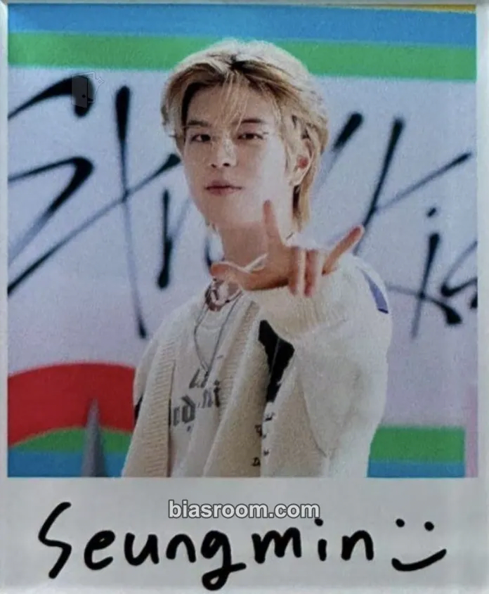 Seungmin SKZ Toy World-Fan Connecting 2024 Photocard - Stray Kids - Stray Kids K-pop photocard