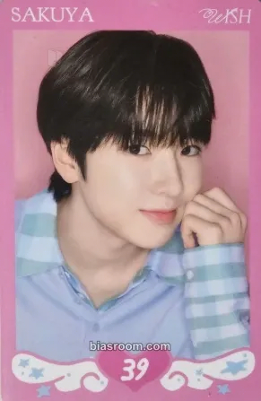 Sakuya Steady MD Photocard - NCT WISH - NCT WISH K-pop photocard