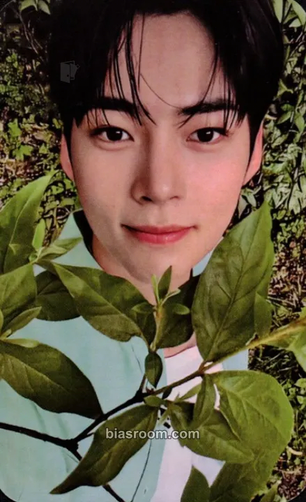 Hanbin ZB1 x Bringgreen Photocard - ZEROBASEONE - ZEROBASEONE K-pop photocard