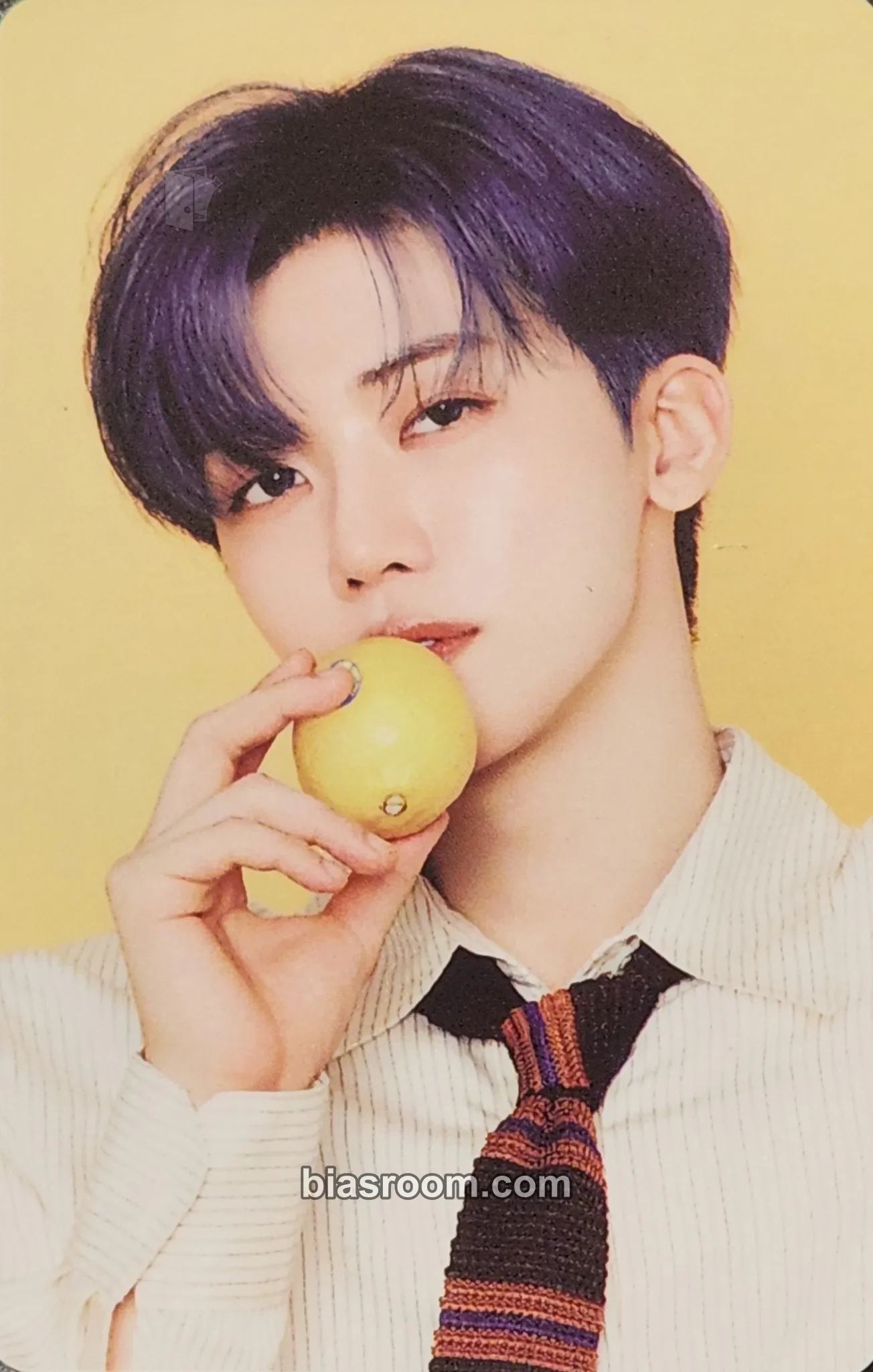 Jaemin 2026 Season’s Greetings Photocard - NCT DREAM - NCT DREAM K-pop photocard