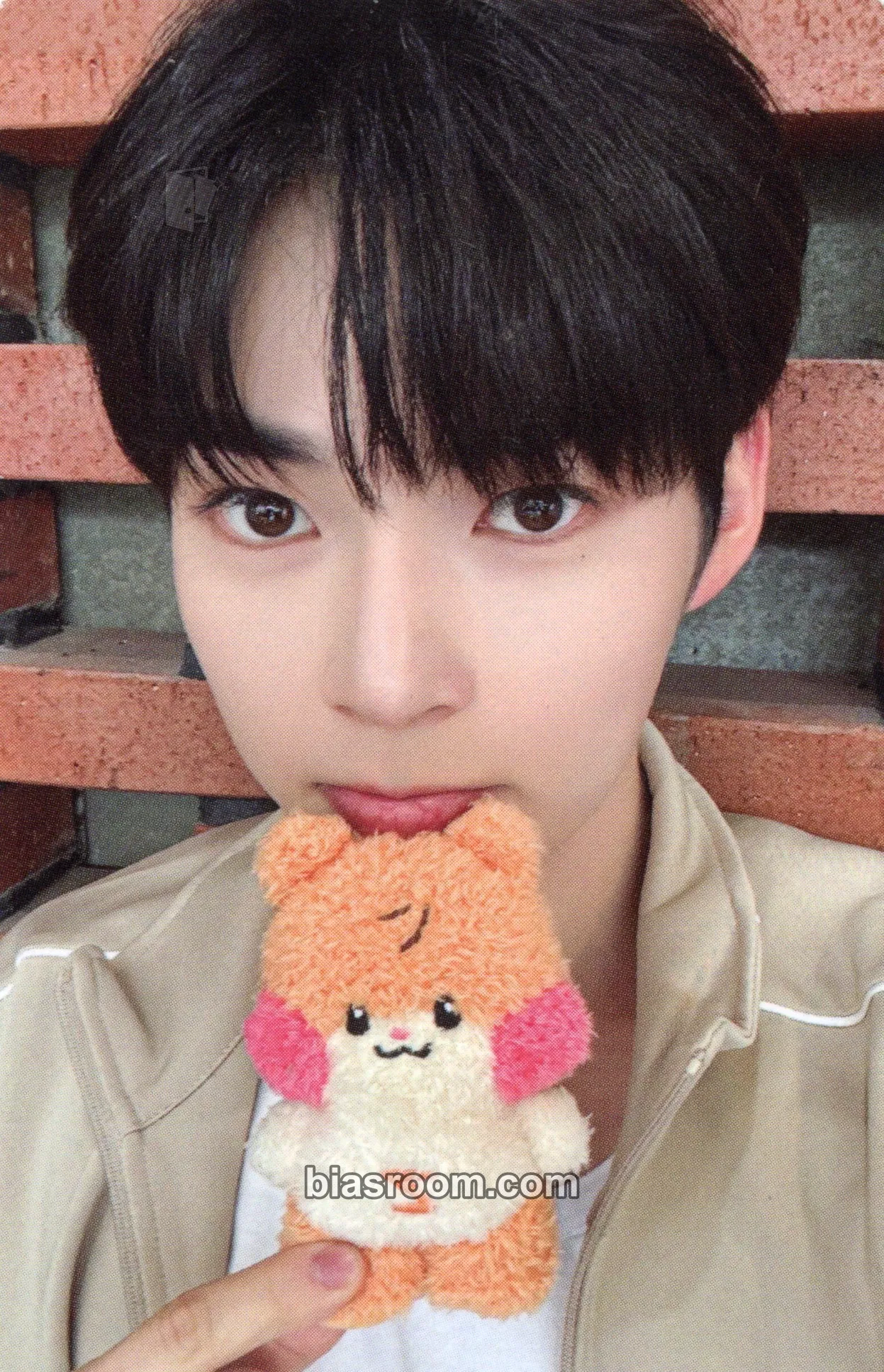 Hanbin ZB1 x LINE FRIENDS Photocard - ZEROBASEONE - ZEROBASEONE K-pop photocard