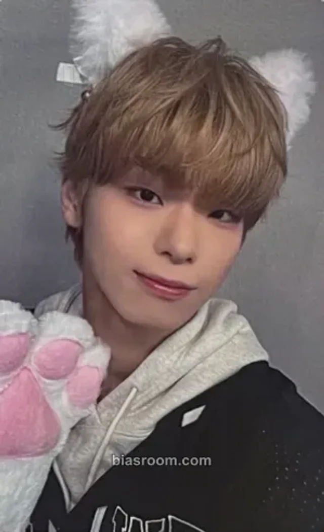 82Major - Dogyun - Trophy Album interasia video call (fancall) round 2