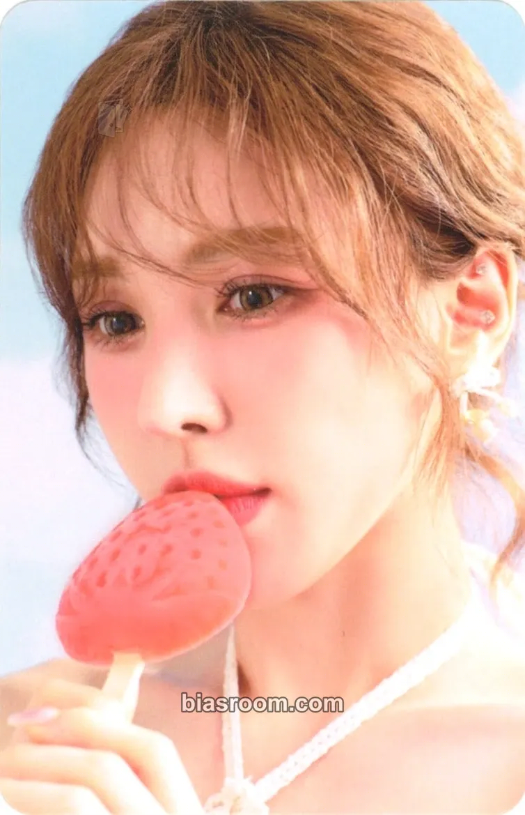 Wendy 2025 Season's Greeting Photocard - Red Velvet - Red Velvet K-pop photocard