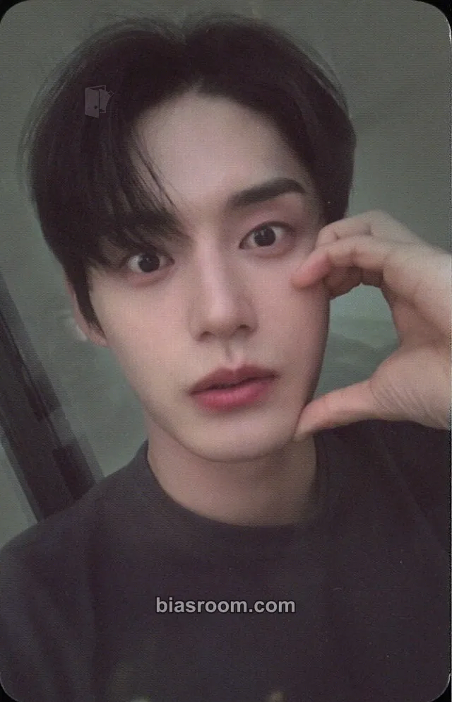Jiwoong Youth in the Shade Photocard - ZEROBASEONE - ZEROBASEONE K-pop photocard