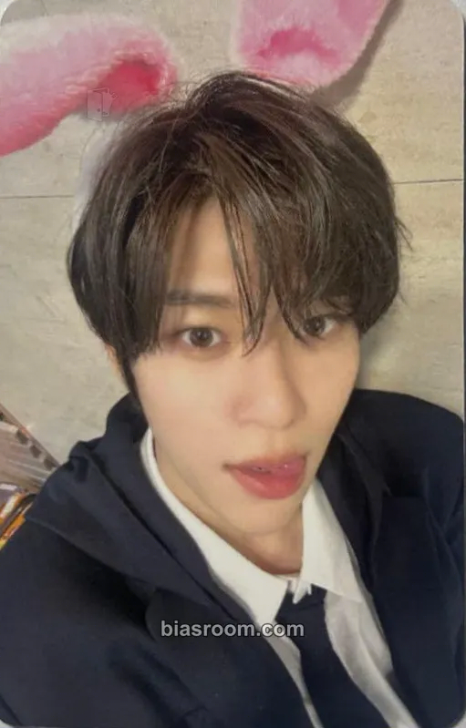 Sion Steady Photocard - NCT WISH - NCT WISH K-pop photocard