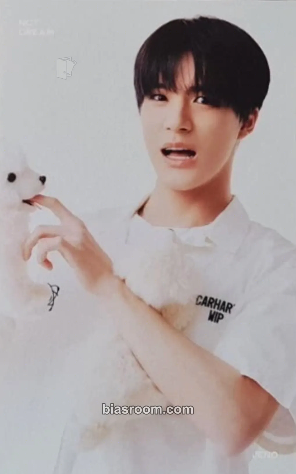 Jeno 2022 Season’s Greetings Photocard - NCT DREAM - NCT DREAM K-pop photocard