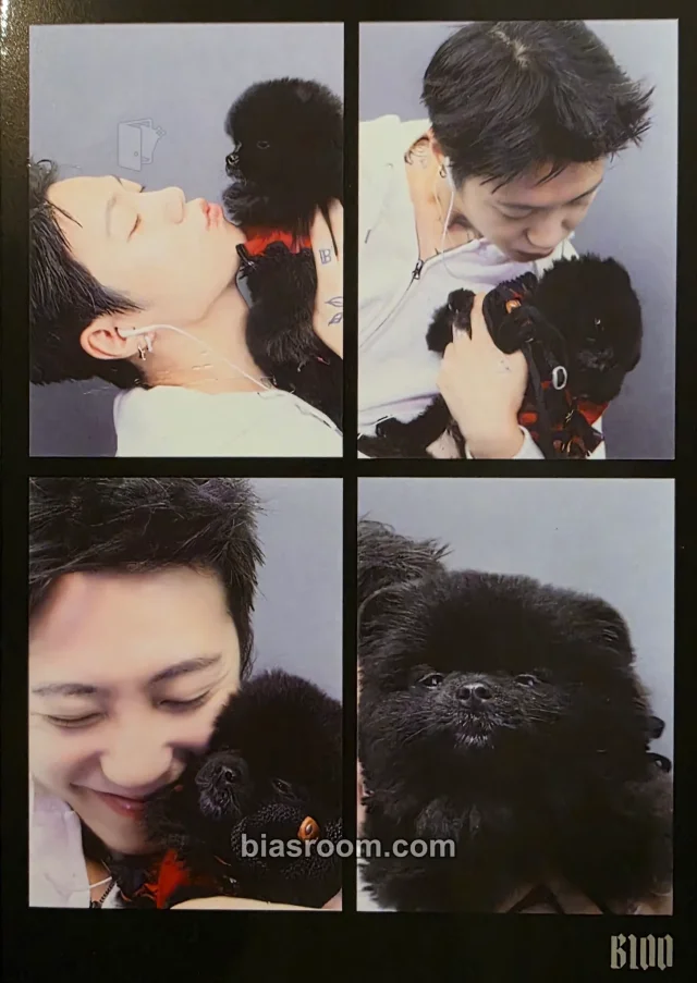 BLOO - BLOO - Fox and the City Album postcard album inclusion