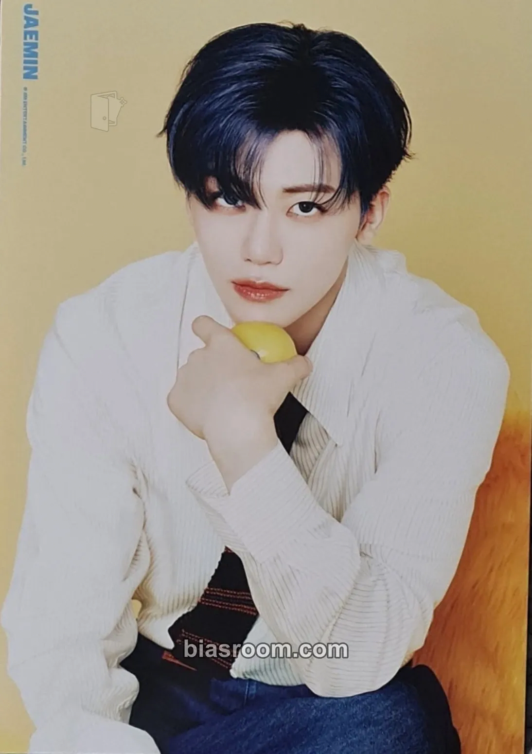 Jaemin 2026 Season’s Greetings Photocard - NCT DREAM - NCT DREAM K-pop photocard