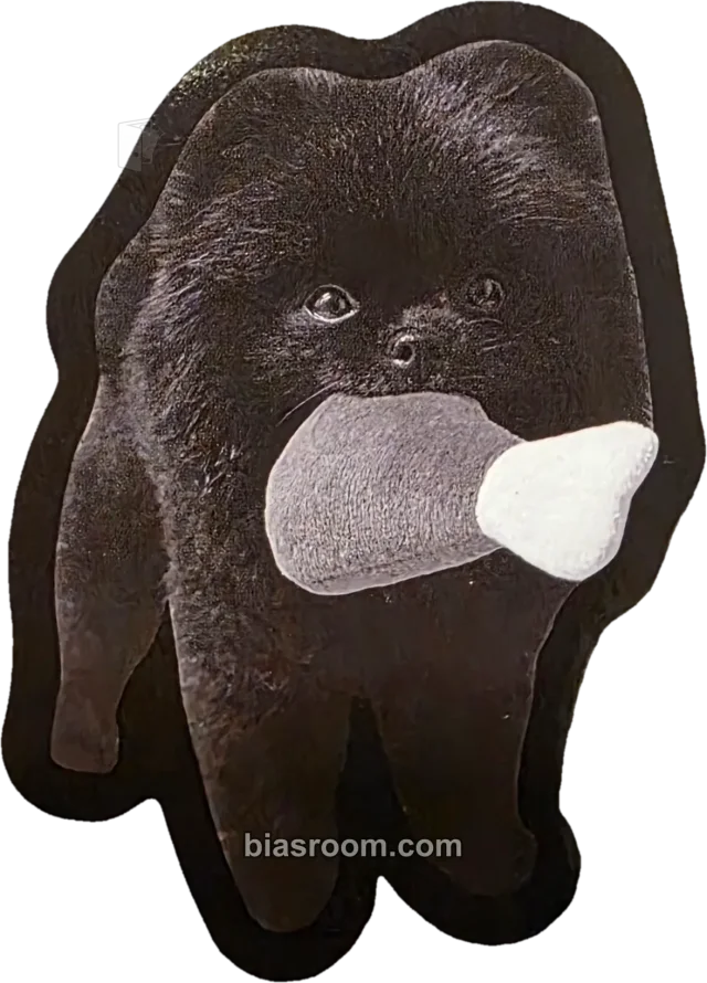 BLOO - BLOO - Fox and the City Album sticker