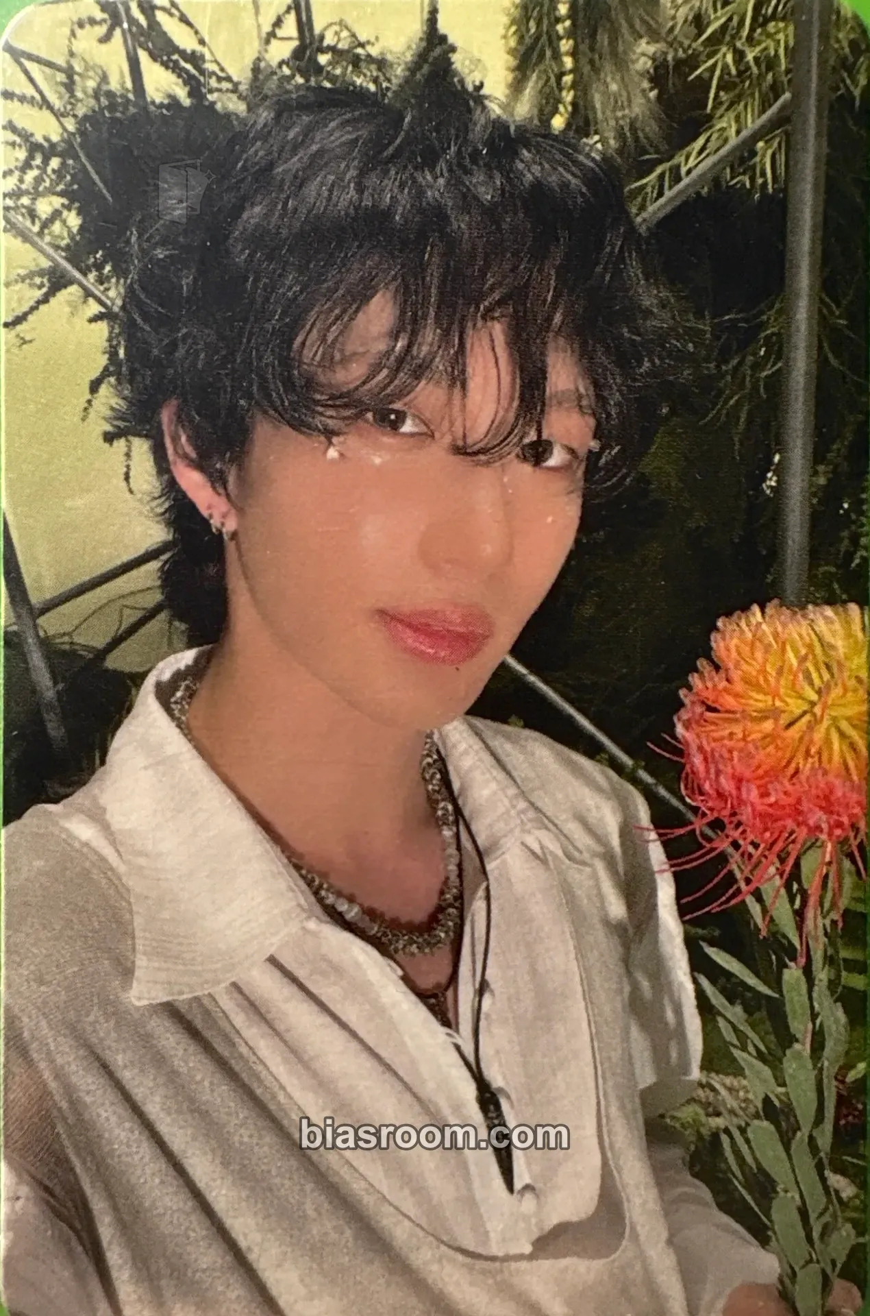 Theo Harmony: All In Photocard - P1Harmony - P1Harmony K-pop photocard