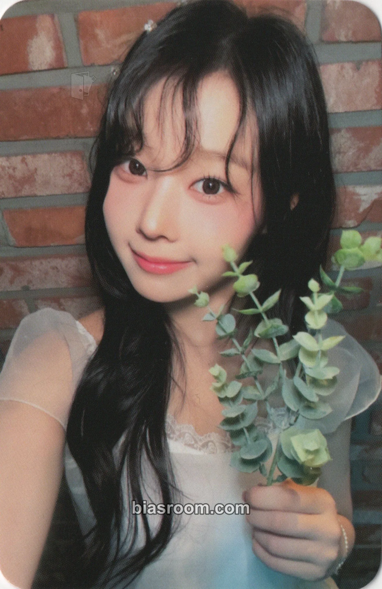 Dohee My Name Is… Photocard - SAY MY NAME - SAY MY NAME K-pop photocard