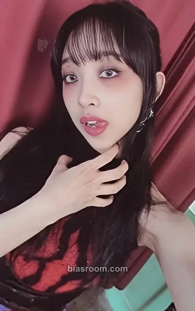 Secret Number - Dita - Doxa Album album photocard