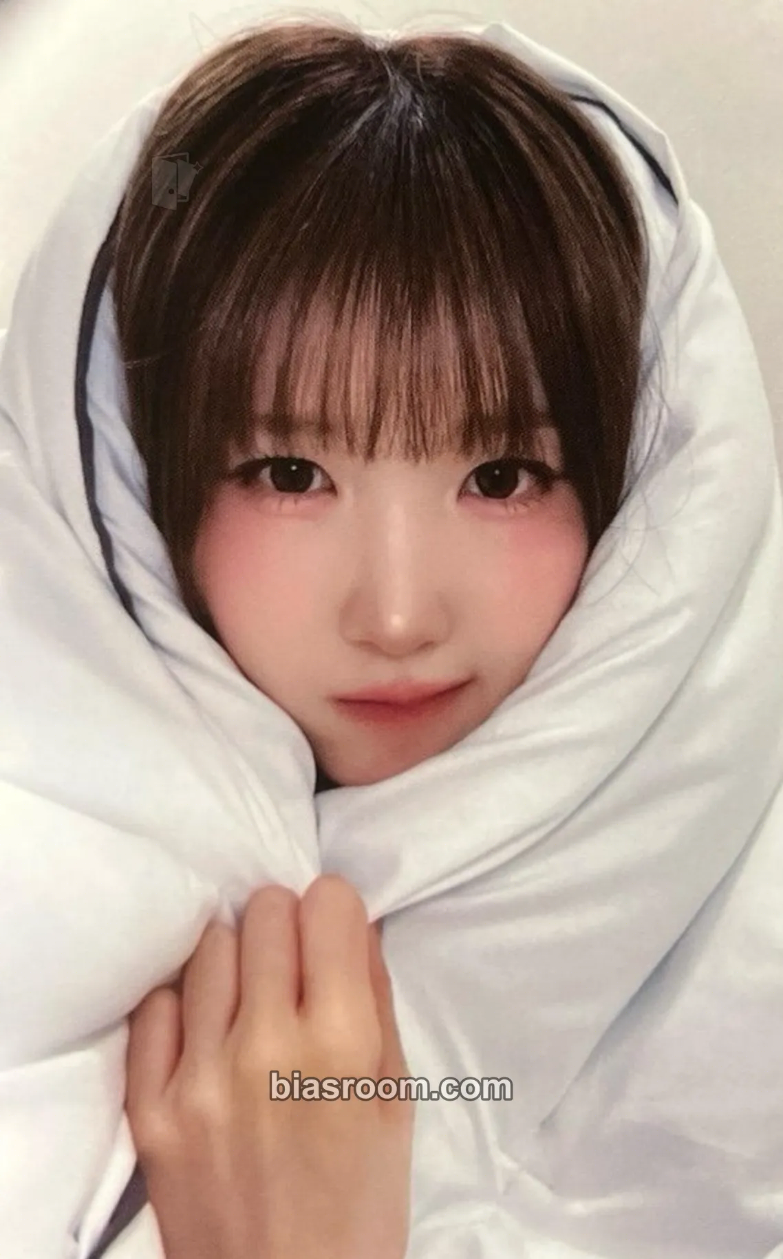 Hitomi My Name Is… Photocard - SAY MY NAME - SAY MY NAME K-pop photocard