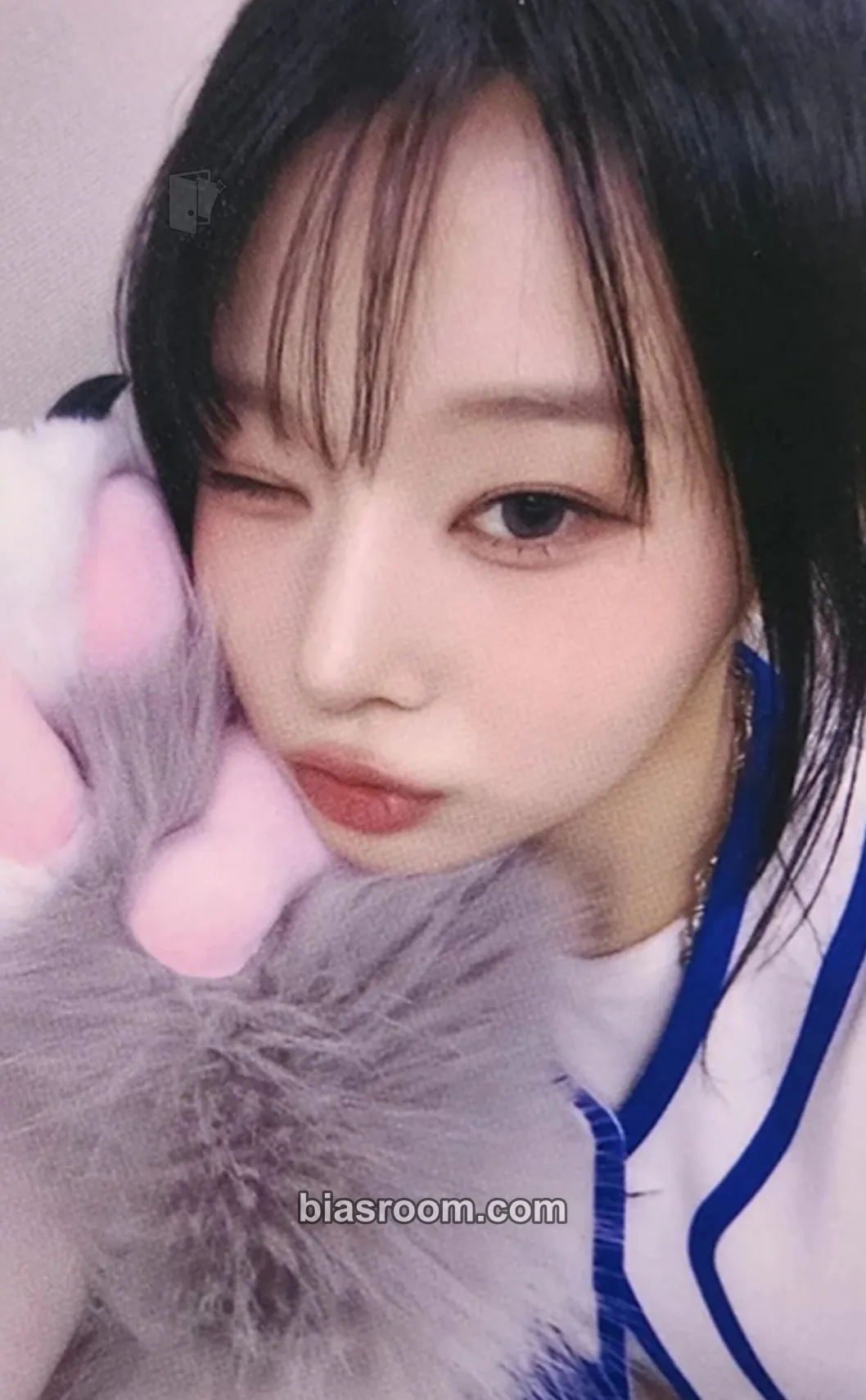Dohee My Name Is… Photocard - SAY MY NAME - SAY MY NAME K-pop photocard
