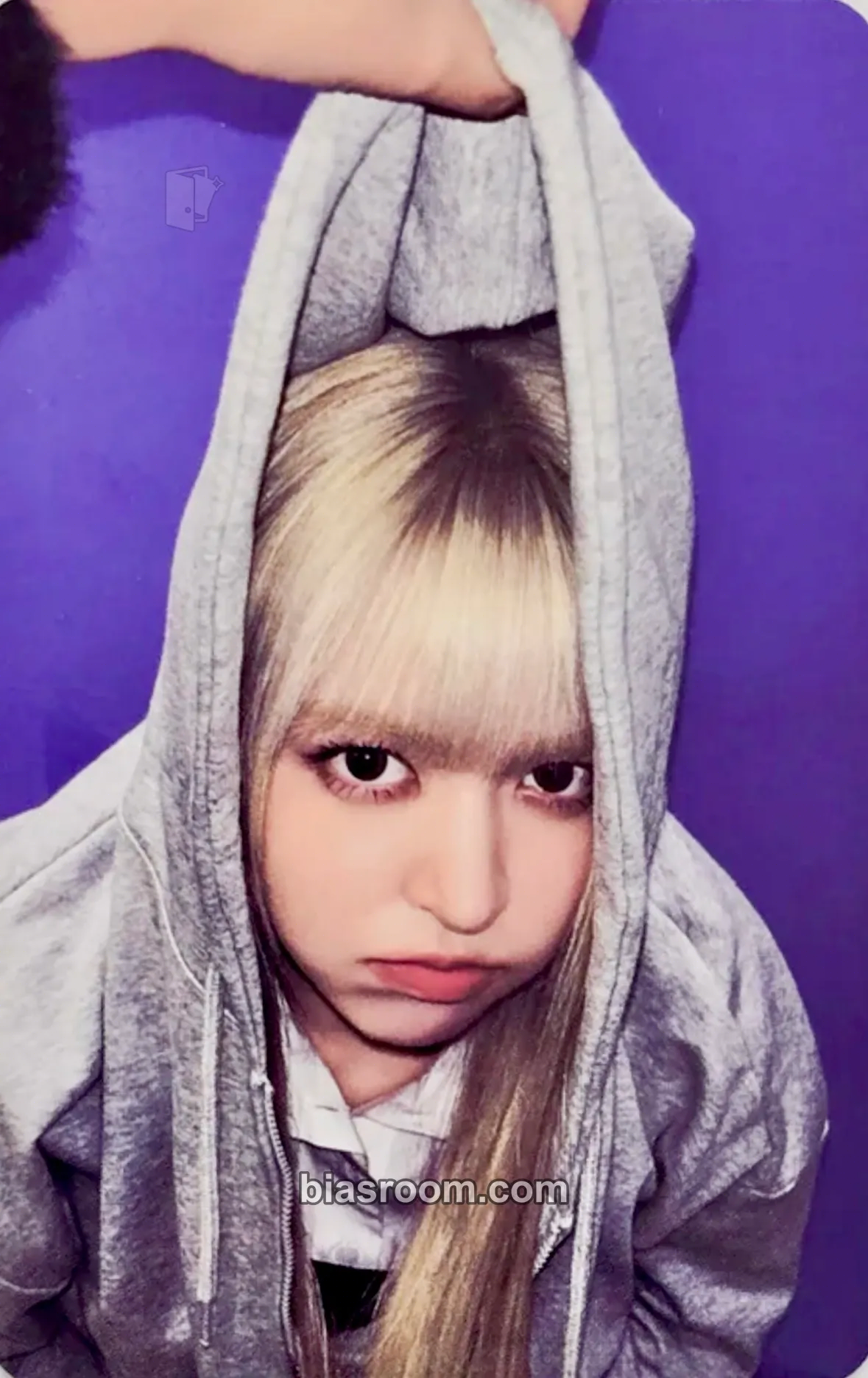 Lily Blue Valentine Photocard - NMIXX - NMIXX K-pop photocard