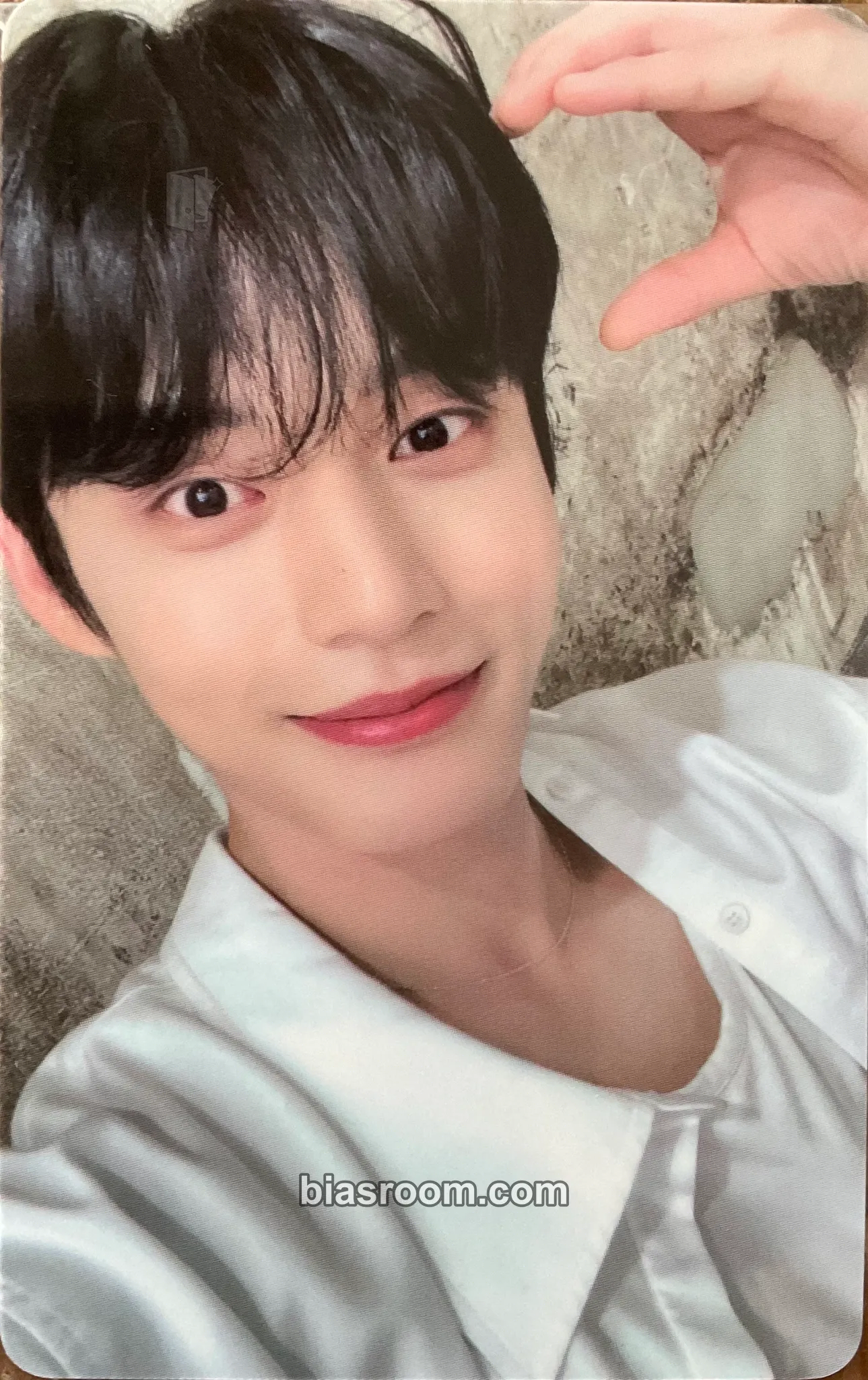 Jiwoong Youth in the Shade Photocard - ZEROBASEONE - ZEROBASEONE K-pop photocard