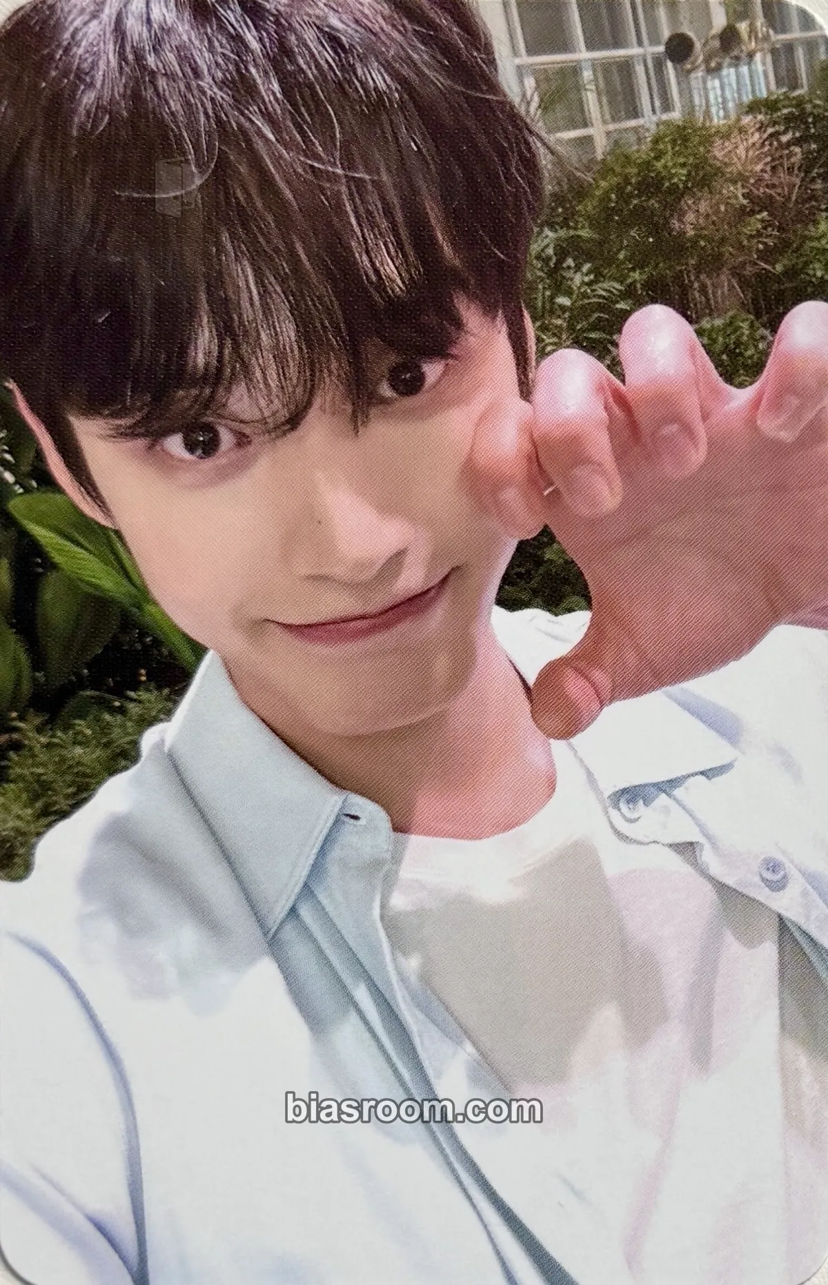 Jiwoong Youth in the Shade Photocard - ZEROBASEONE - ZEROBASEONE K-pop photocard