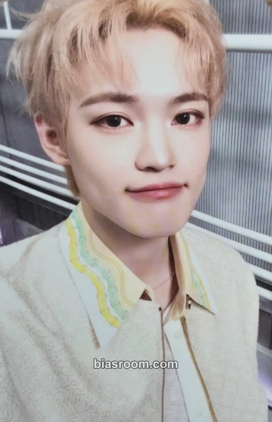 Chenle DREAMSCAPE MD Photocard - NCT DREAM - NCT DREAM K-pop photocard