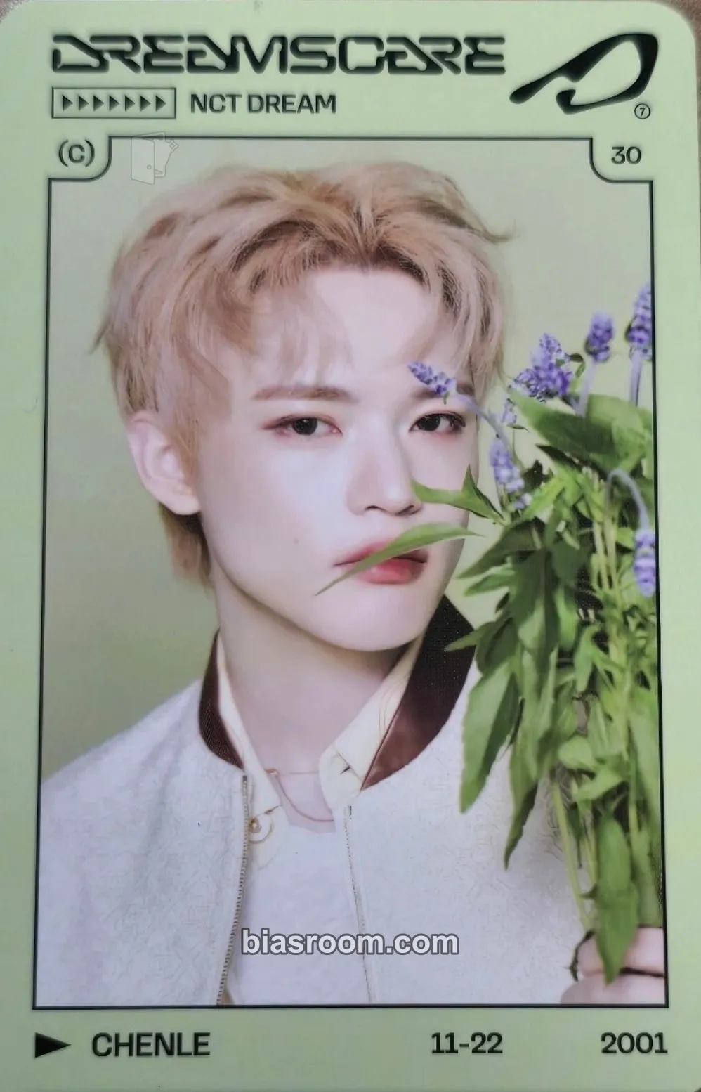 Chenle DREAMSCAPE MD Photocard - NCT DREAM - NCT DREAM K-pop photocard