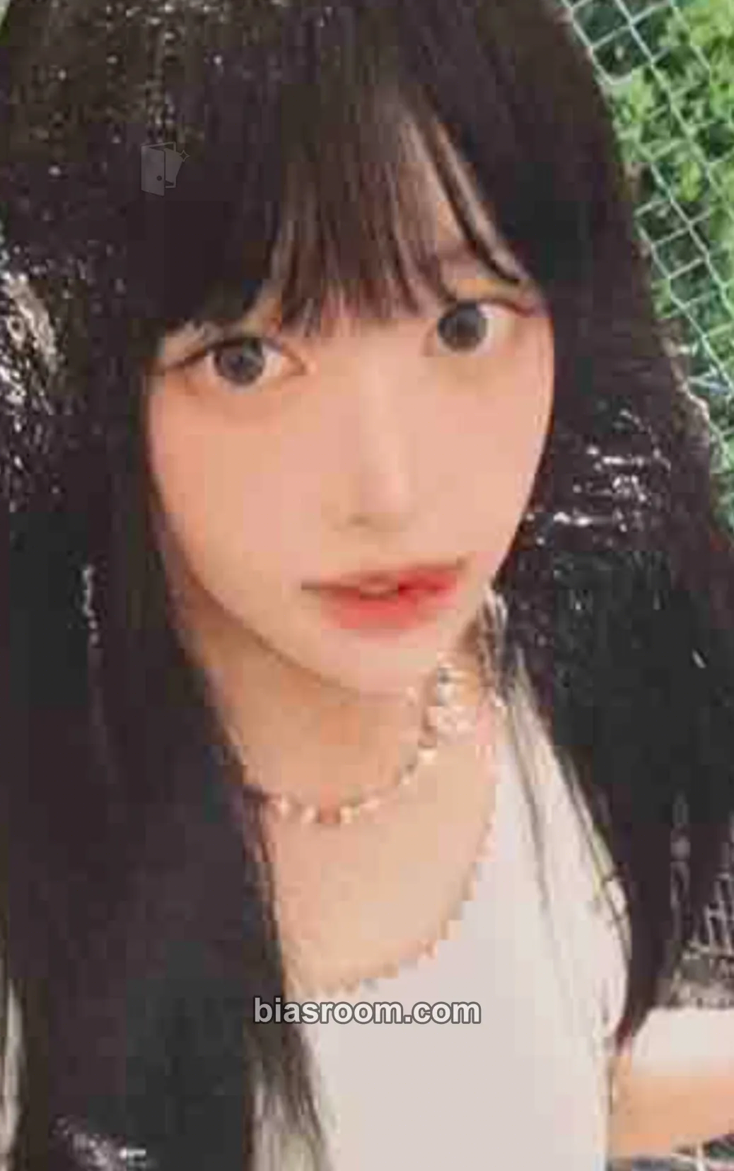 Soha iLY Photocard - SAY MY NAME - SAY MY NAME K-pop photocard