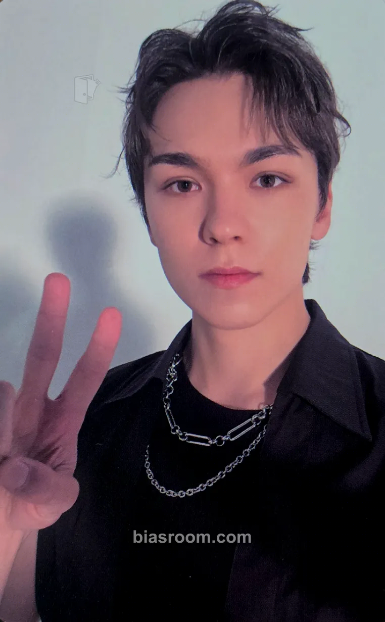 Vernon Spill the Feels Photocard - SEVENTEEN - SEVENTEEN K-pop photocard
