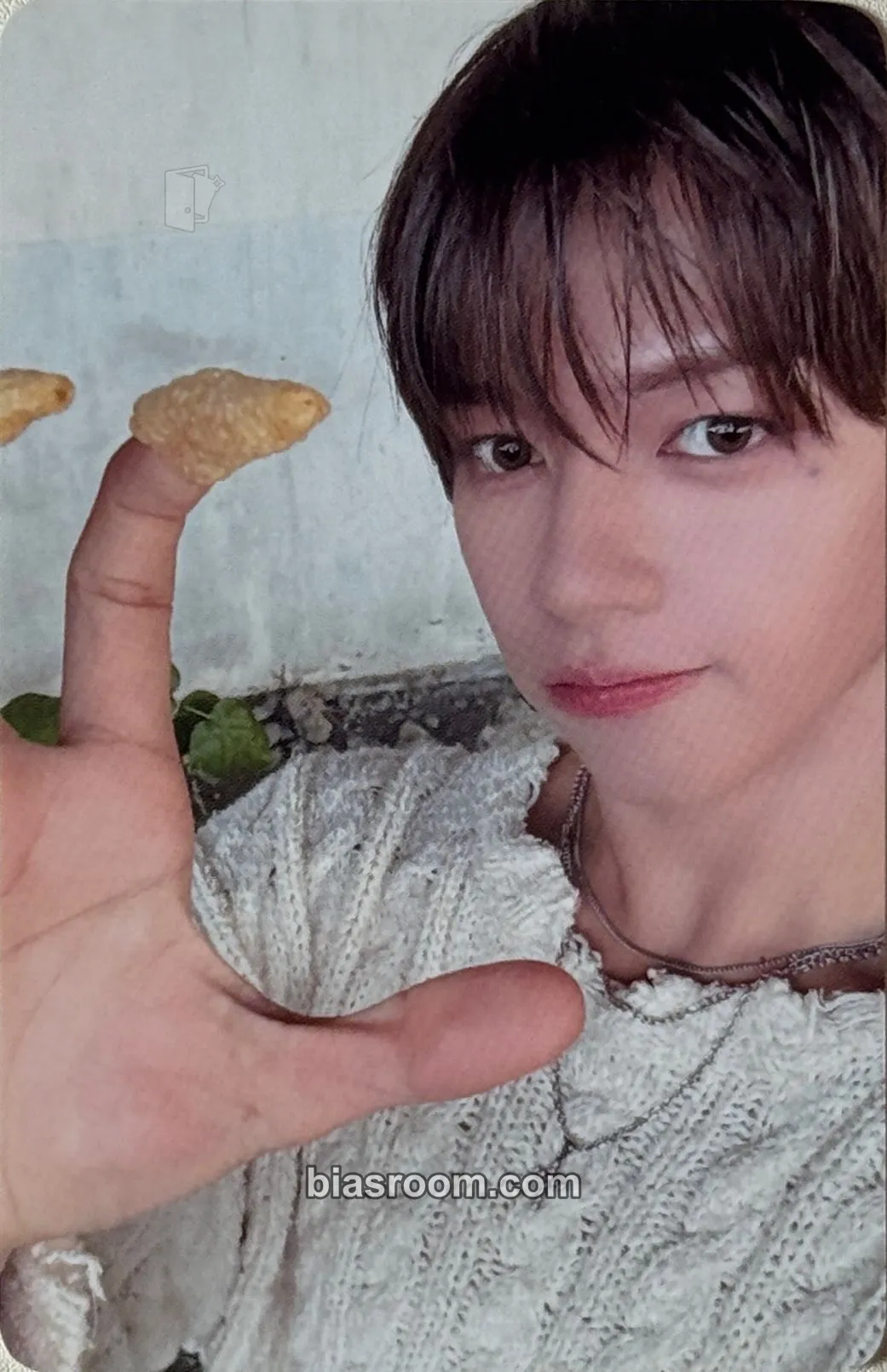 JL The Passage Photocard - AHOF - AHOF K-pop photocard