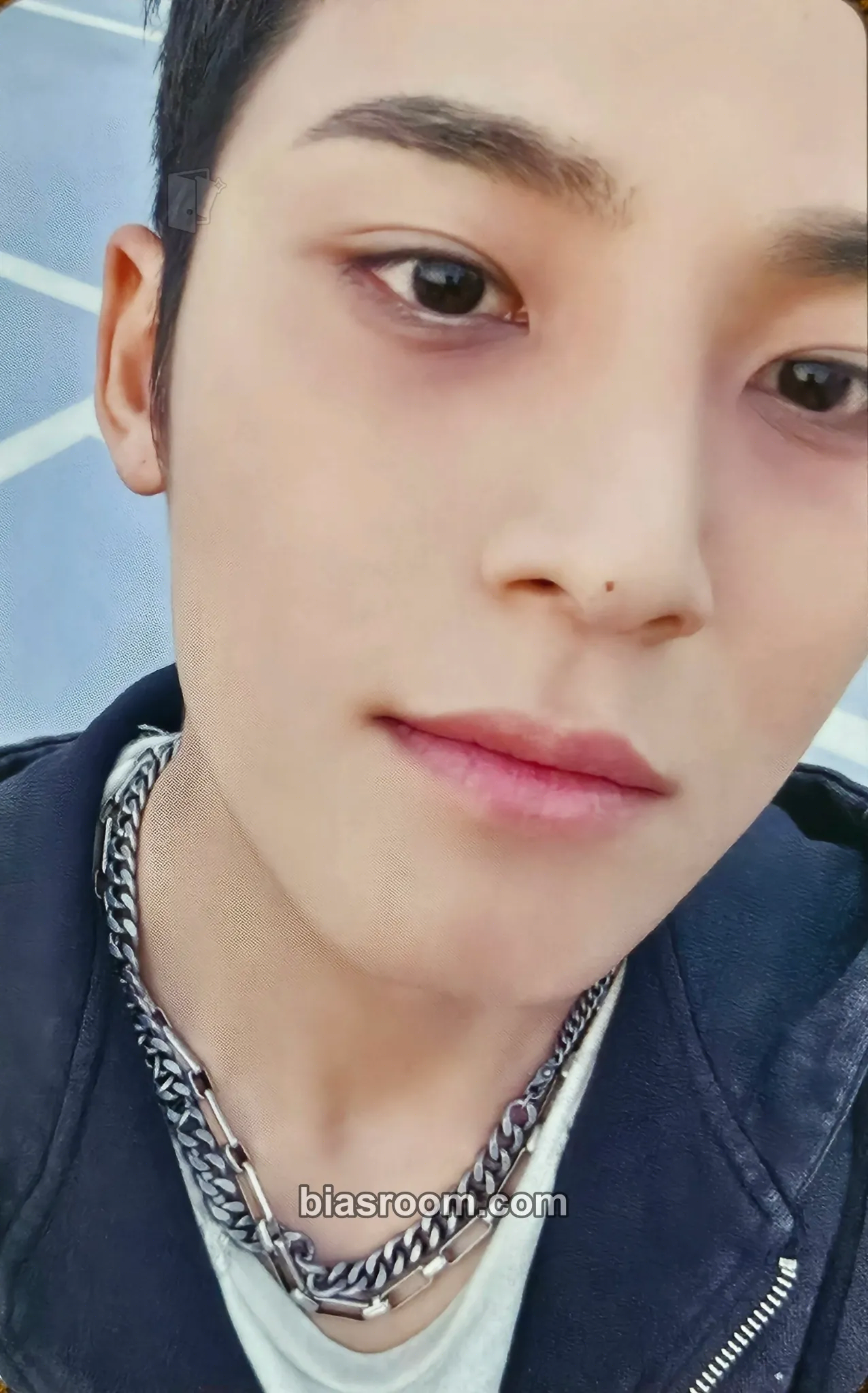 Mingyu HAPPY BURSTDAY Photocard - SEVENTEEN - SEVENTEEN K-pop photocard