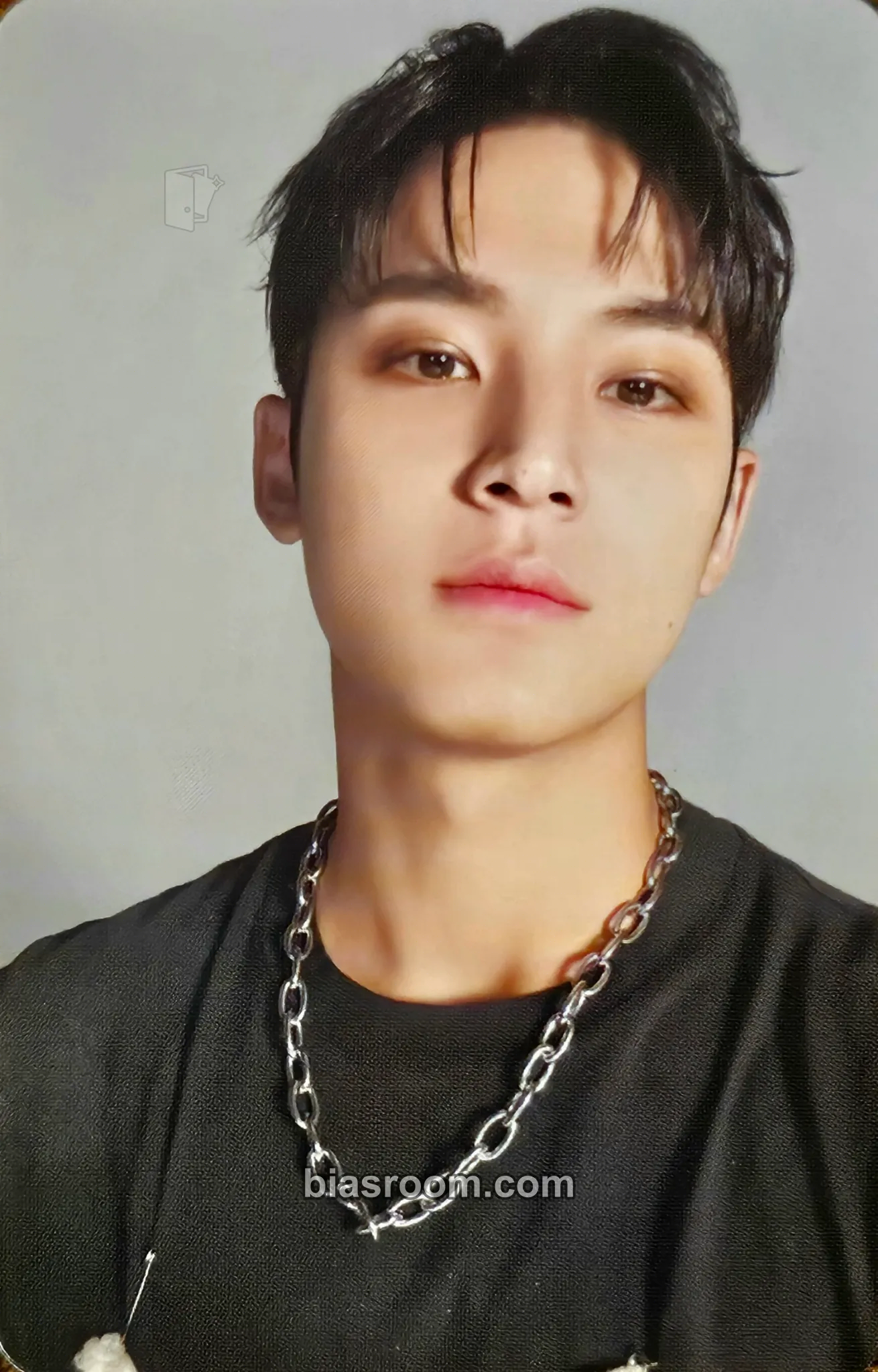 Mingyu Spill the Feels Photocard - SEVENTEEN - SEVENTEEN K-pop photocard