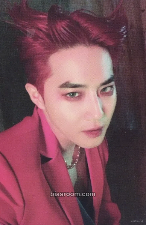 Suho Self-Portrait Photocard - EXO - EXO K-pop photocard