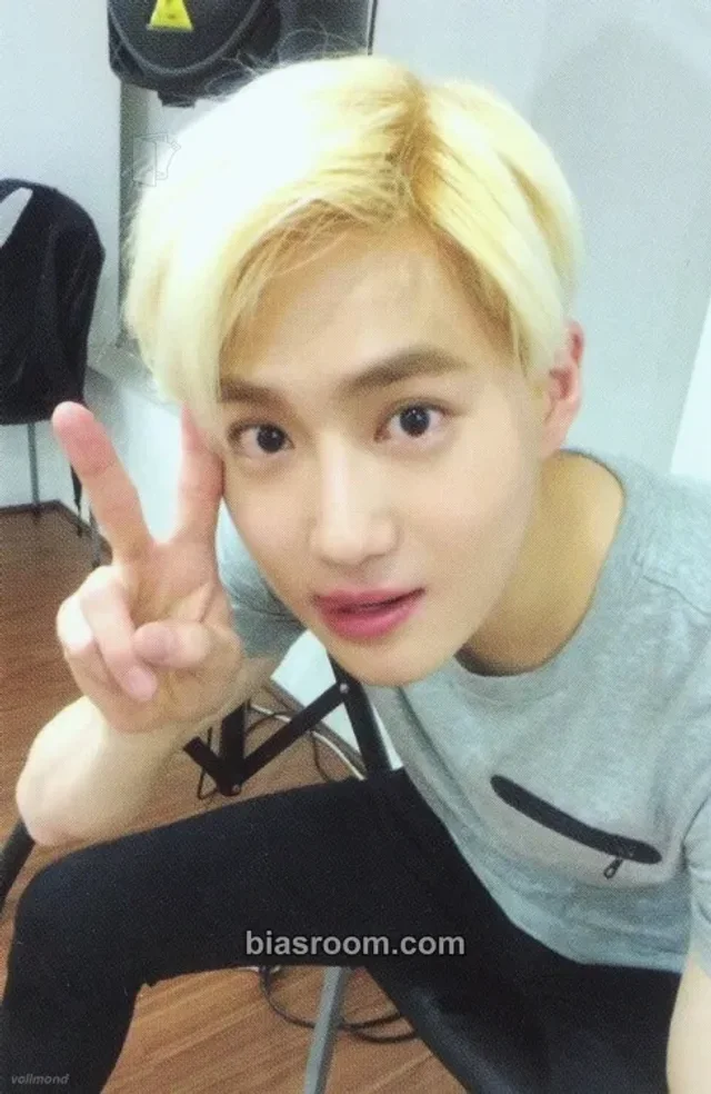 EXO - Suho - Self-Portrait Album solo album archive #2 version album photocard special card bad image - replace