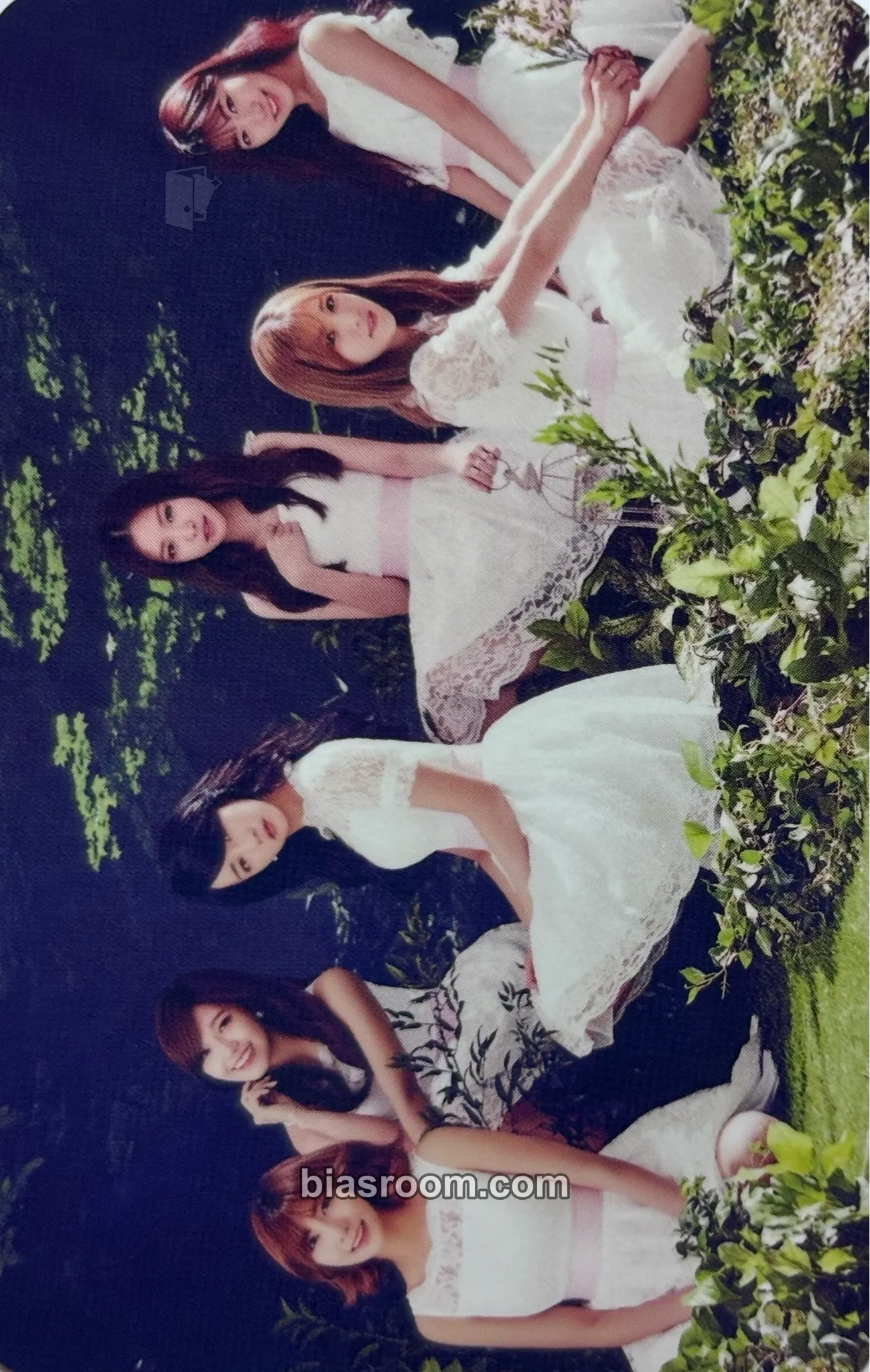 Brand New Days Photocard - Apink - Apink K-pop photocard