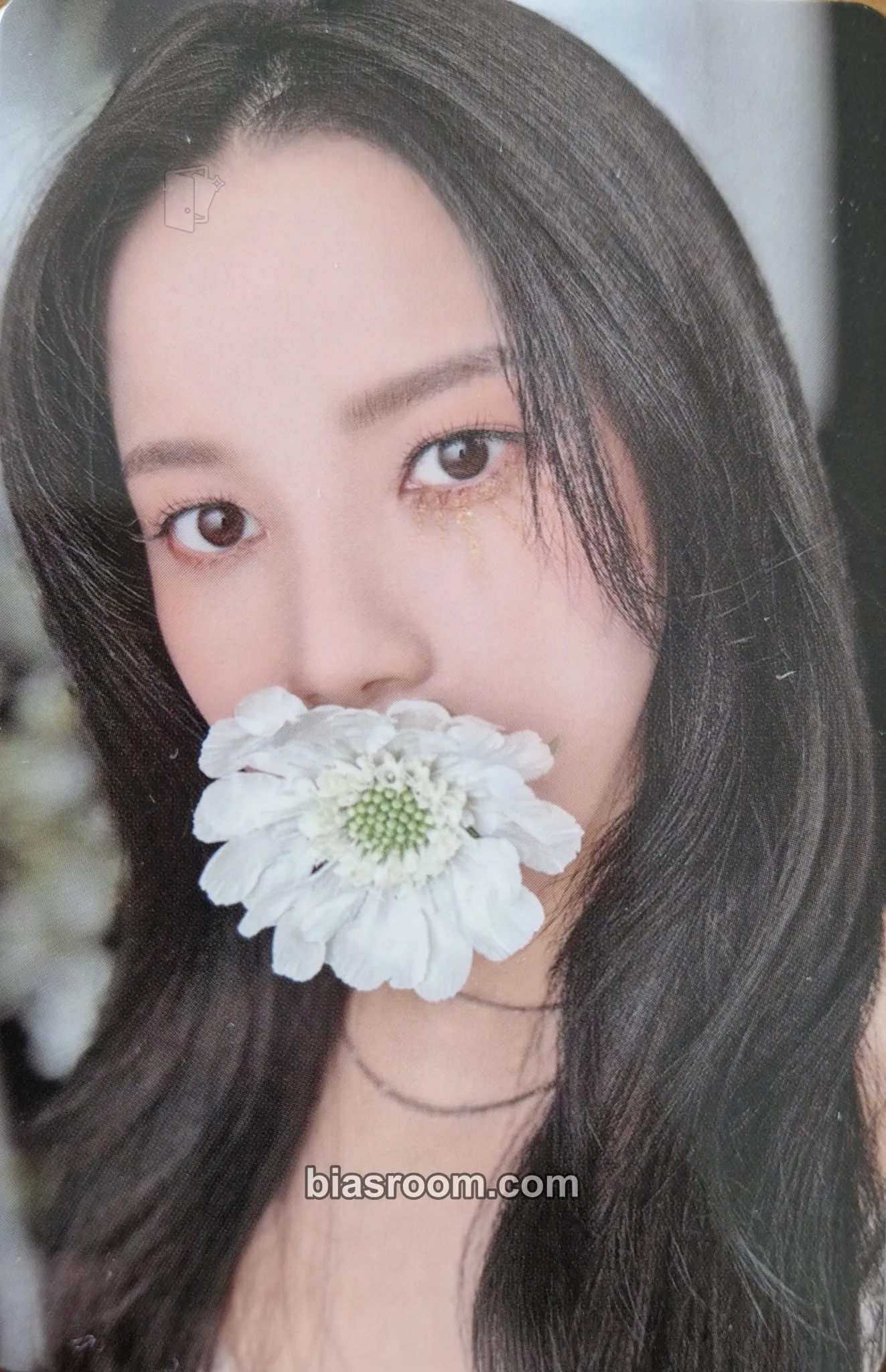 MAMAMOO - Solar - COLOURS Album pob (pre-order benefit) apple music