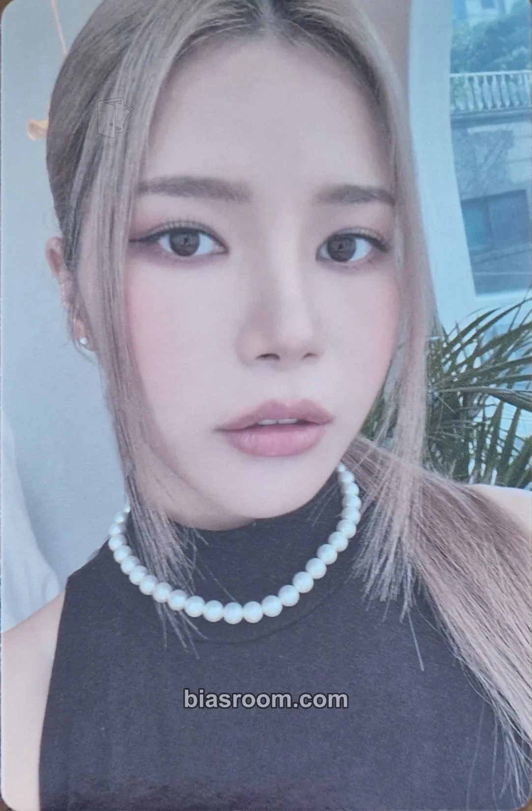 Solar Solar 2024 Season's Greetings: Agent Solar Photocard - MAMAMOO - MAMAMOO K-pop photocard