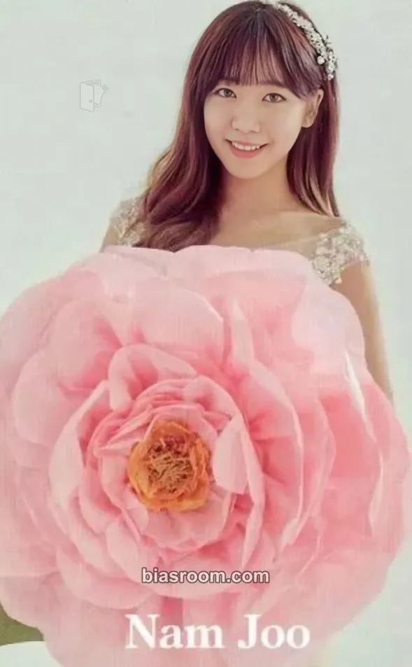 Namjoo Pink Doll Photocard - Apink - Apink K-pop photocard