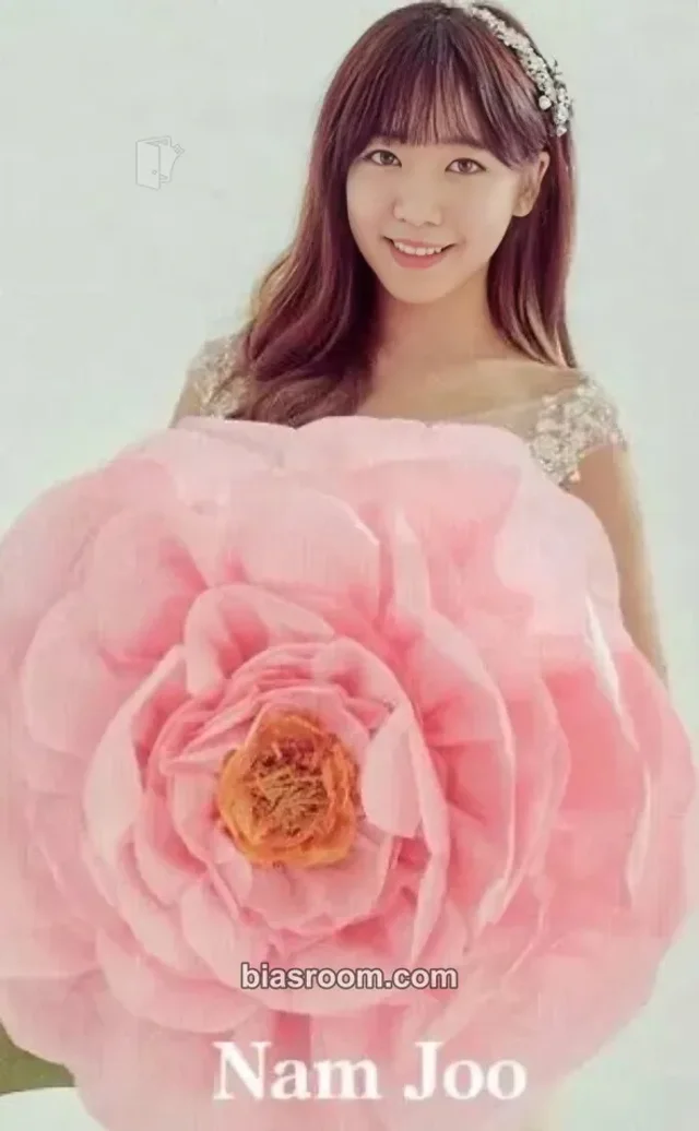 Apink - Namjoo - Pink Doll Album album photocard