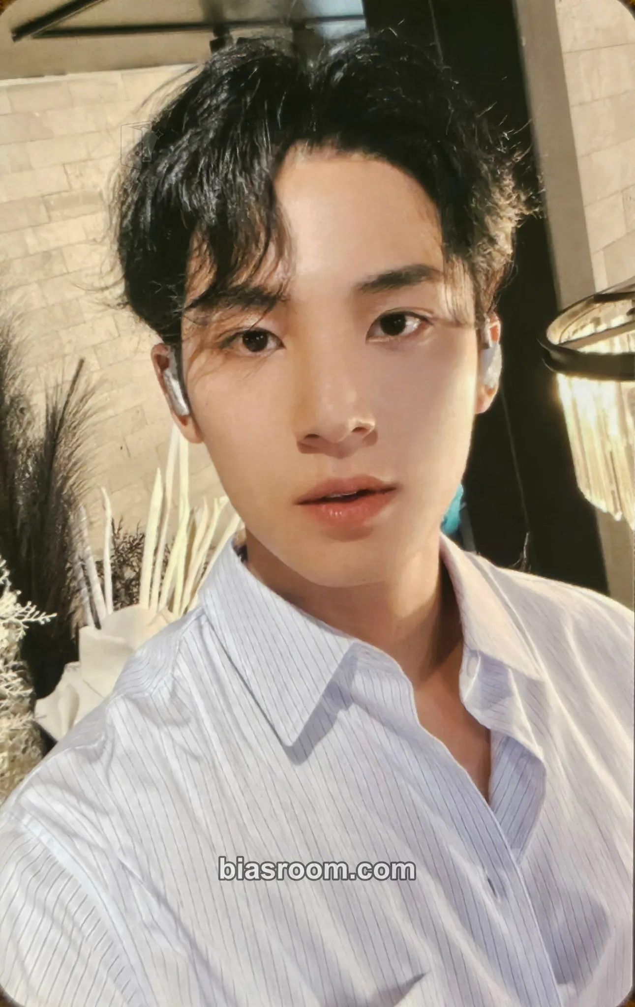 Mingyu SECTOR 17 Photocard - SEVENTEEN - SEVENTEEN K-pop photocard