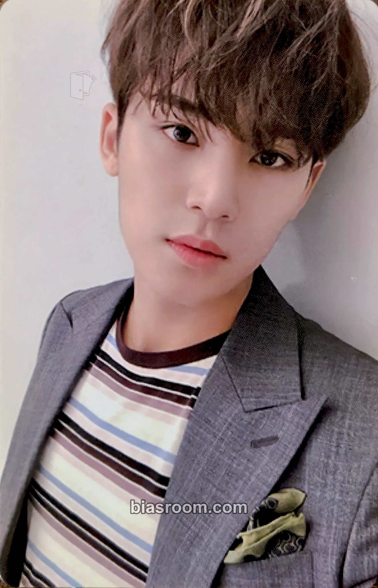 Mingyu An Ode Photocard - SEVENTEEN - SEVENTEEN K-pop photocard