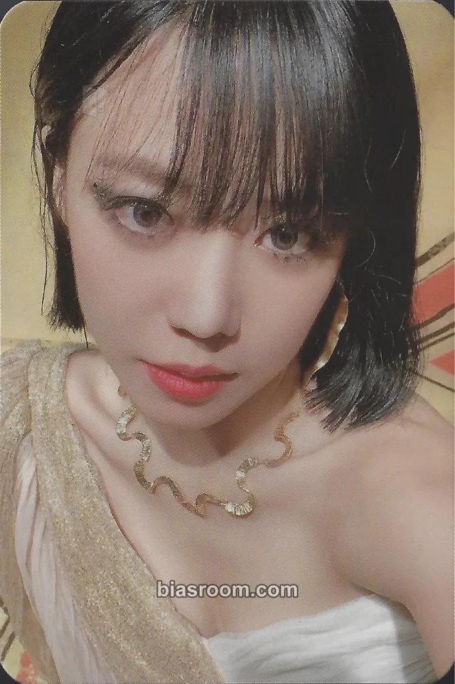 Namjoo Apink Bird K-pop photocard