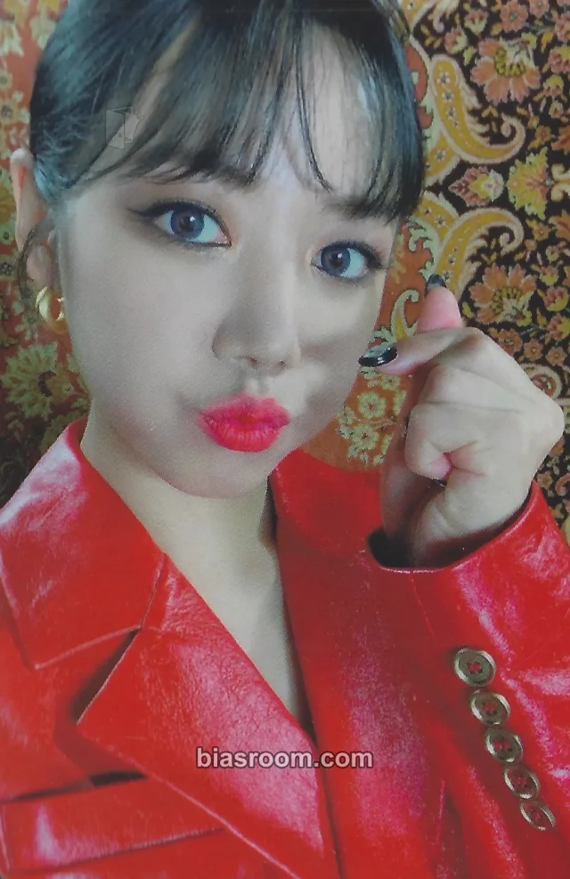 Namjoo Apink Bird K-pop photocard