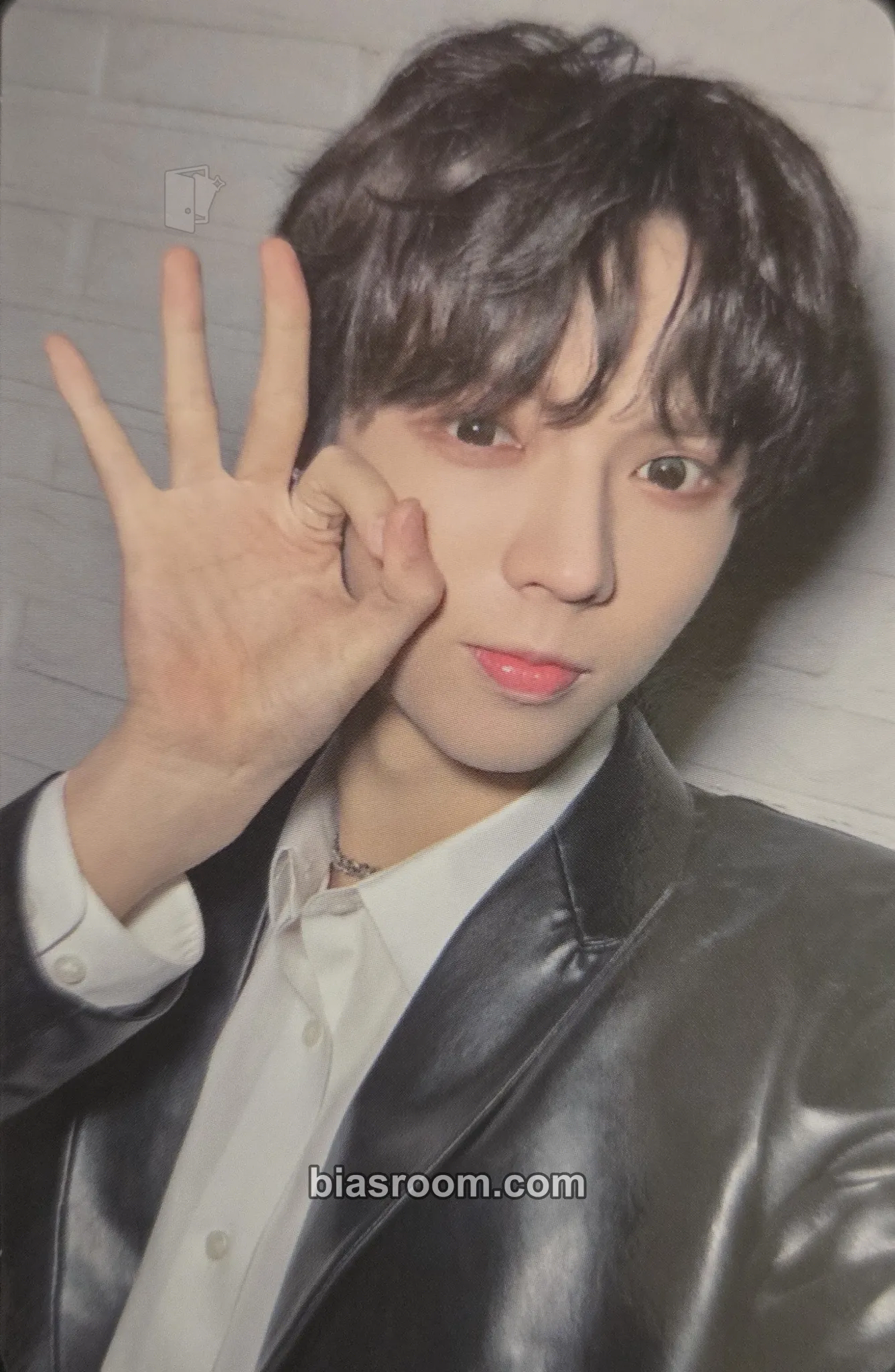Brian WILD & FREE Photocard - AMPERS&ONE - AMPERS&ONE K-pop photocard