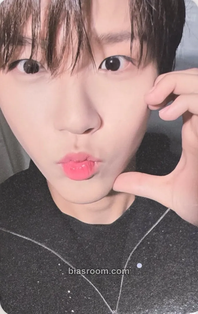 Jaehee Songbird Photocard - NCT WISH - NCT WISH K-pop photocard