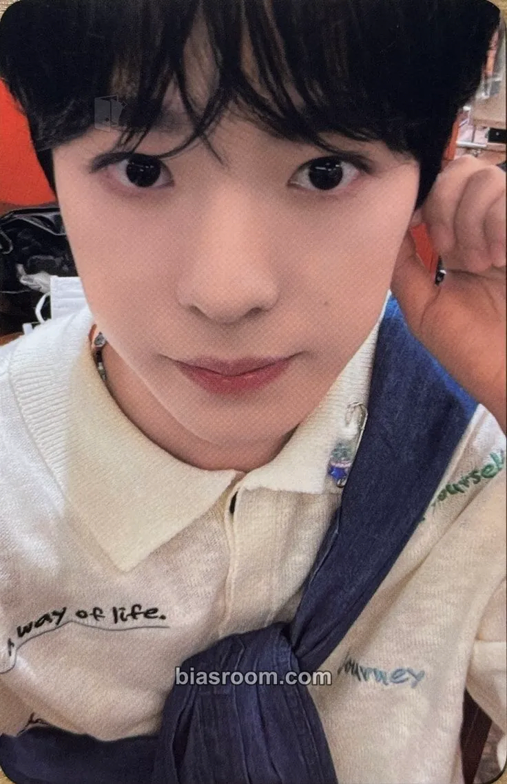 Yushi Steady Photocard - NCT WISH - NCT WISH K-pop photocard