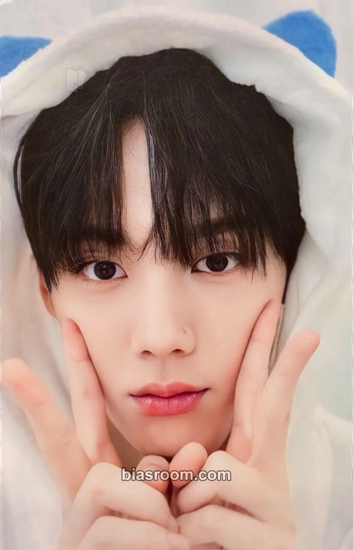 TAG PARADOXX Photocard - ONE PACT - ONE PACT K-pop photocard