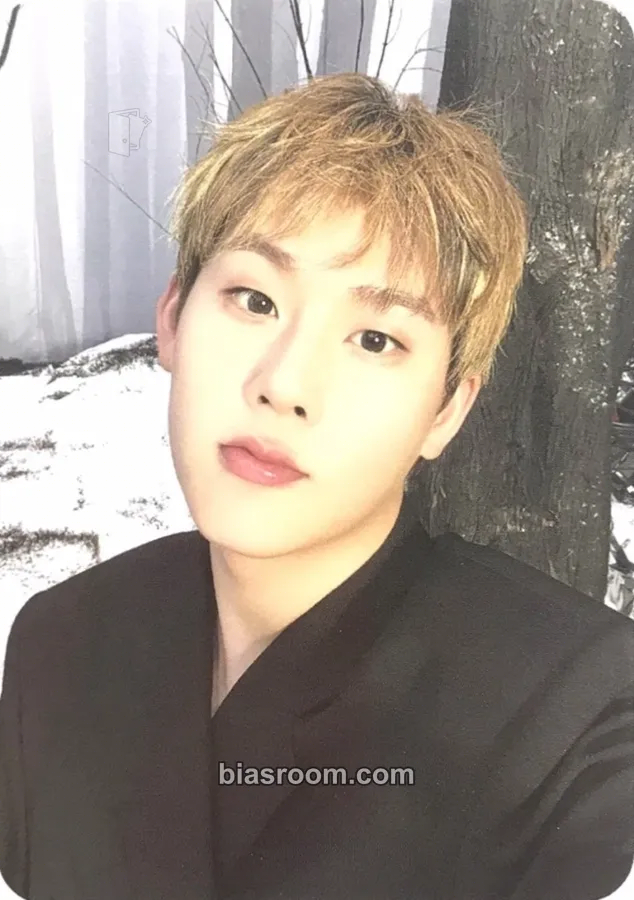 Joohoney THE X Photocard - MONSTA X - MONSTA X K-pop photocard
