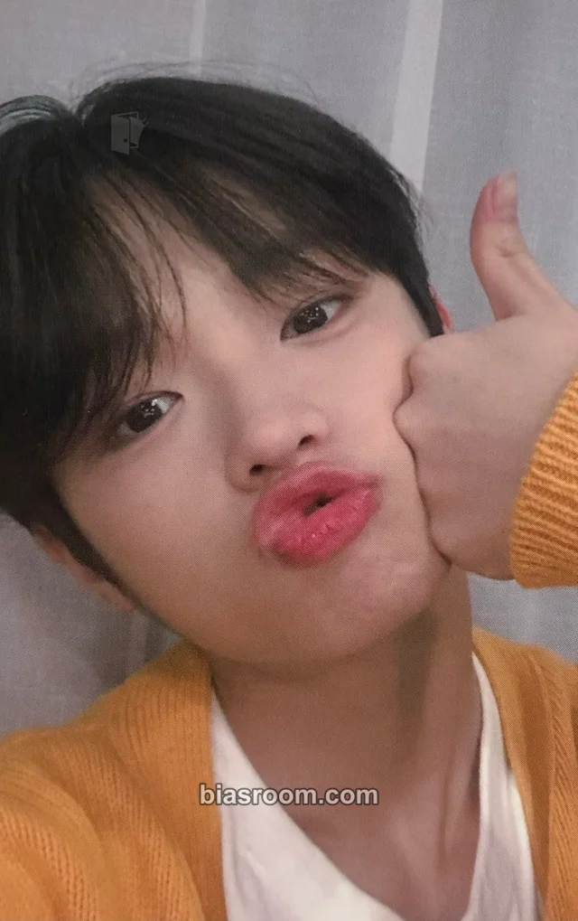 X1 - Dongpyo - One It Fankit Other fanclub