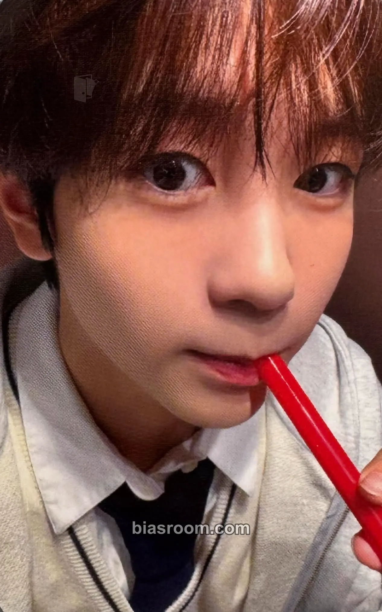 Ryo Steady Photocard - NCT WISH - NCT WISH K-pop photocard