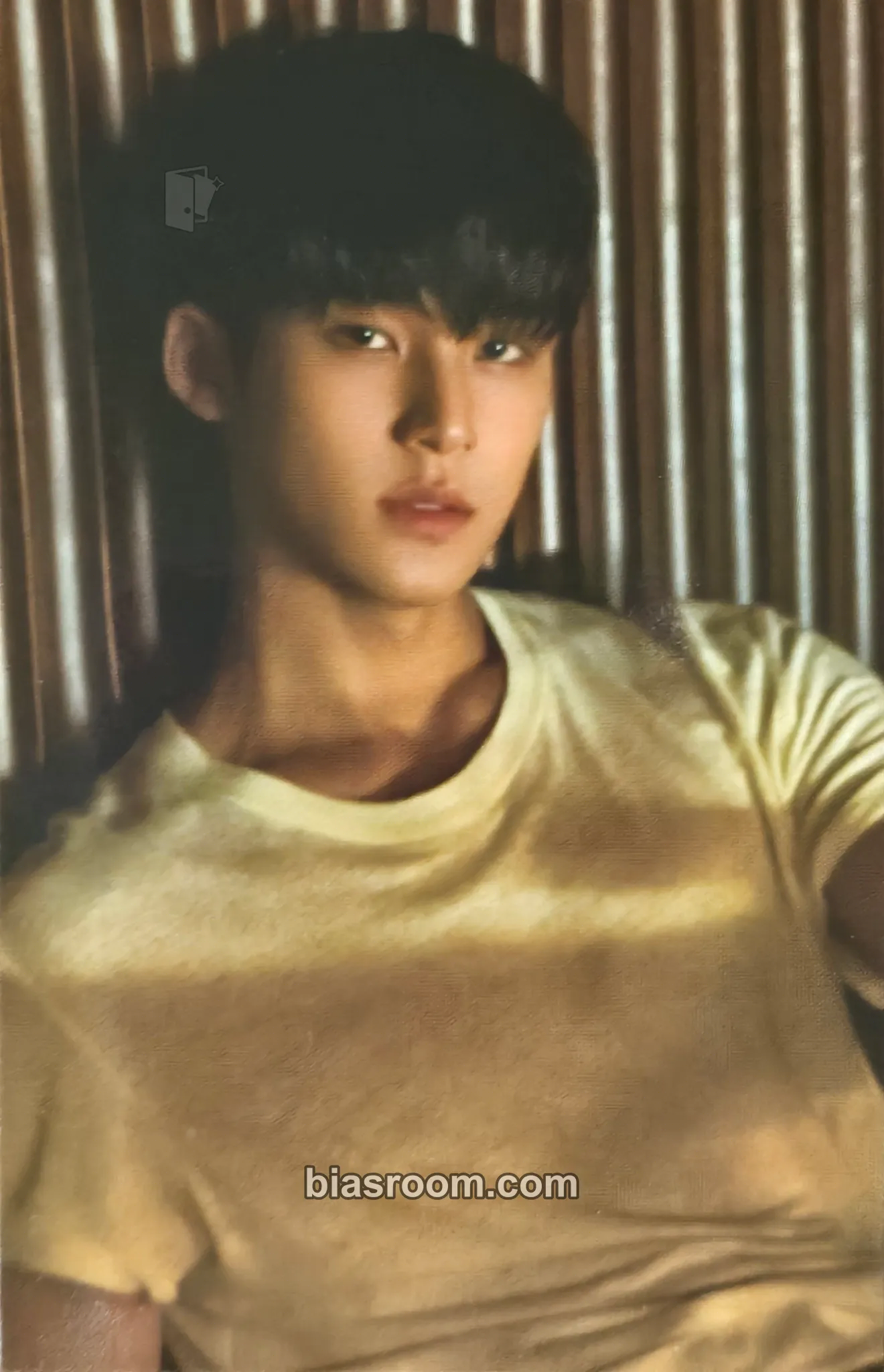 Mingyu Bittersweet - Wonwoo x Mingyu Digital Single Photocard - SEVENTEEN - SEVENTEEN K-pop photocard