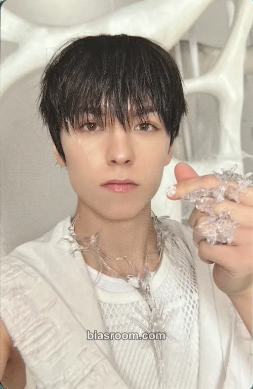 Vernon HAPPY BURSTDAY Photocard - SEVENTEEN - SEVENTEEN K-pop photocard